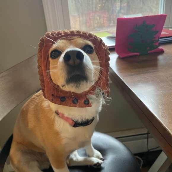 Meet your Posher, Adrienne - Picture 3 of 7